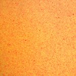 Dalle PVC isophonique Jamaica Barque cf43
